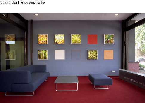 duesseldorf-wiesenstrasse